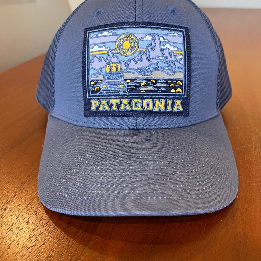 Patagonia Hat with Great Logo EUC